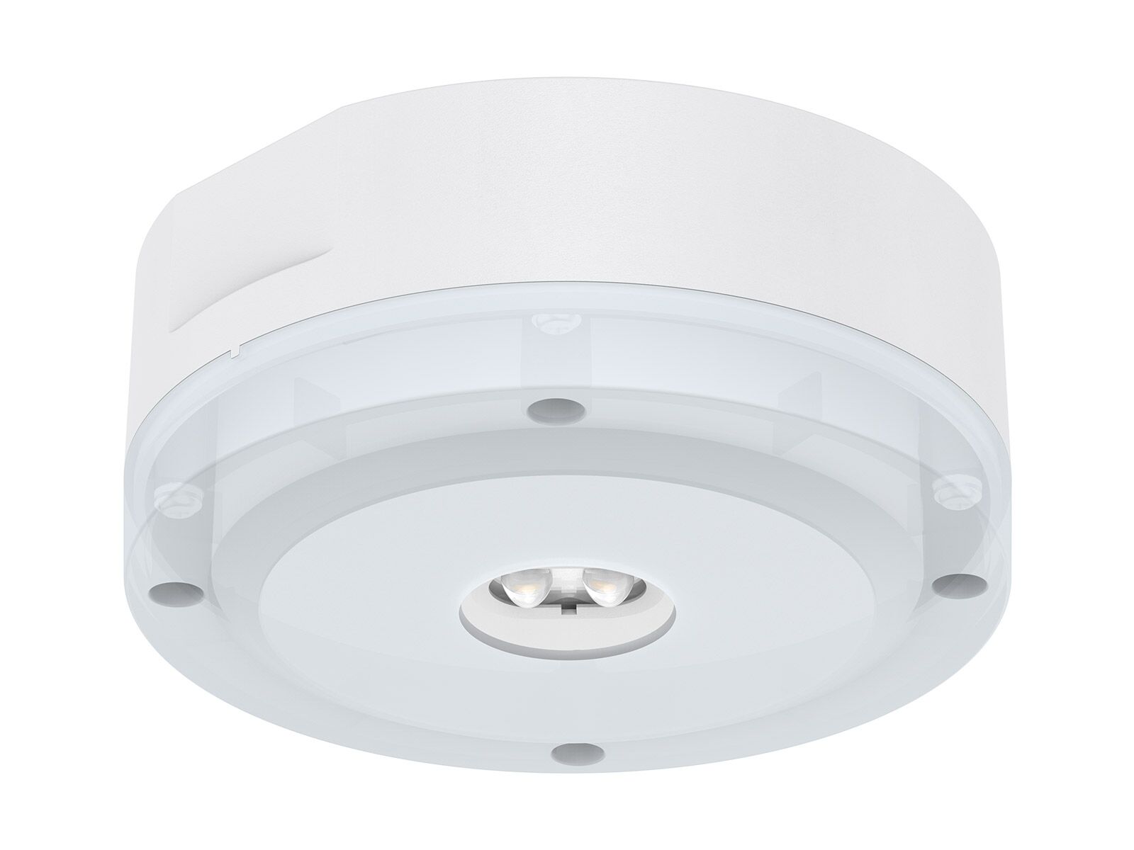 CRESSIDA – IP Rated Surface Mounted Non-Maintained Emergency Downlight