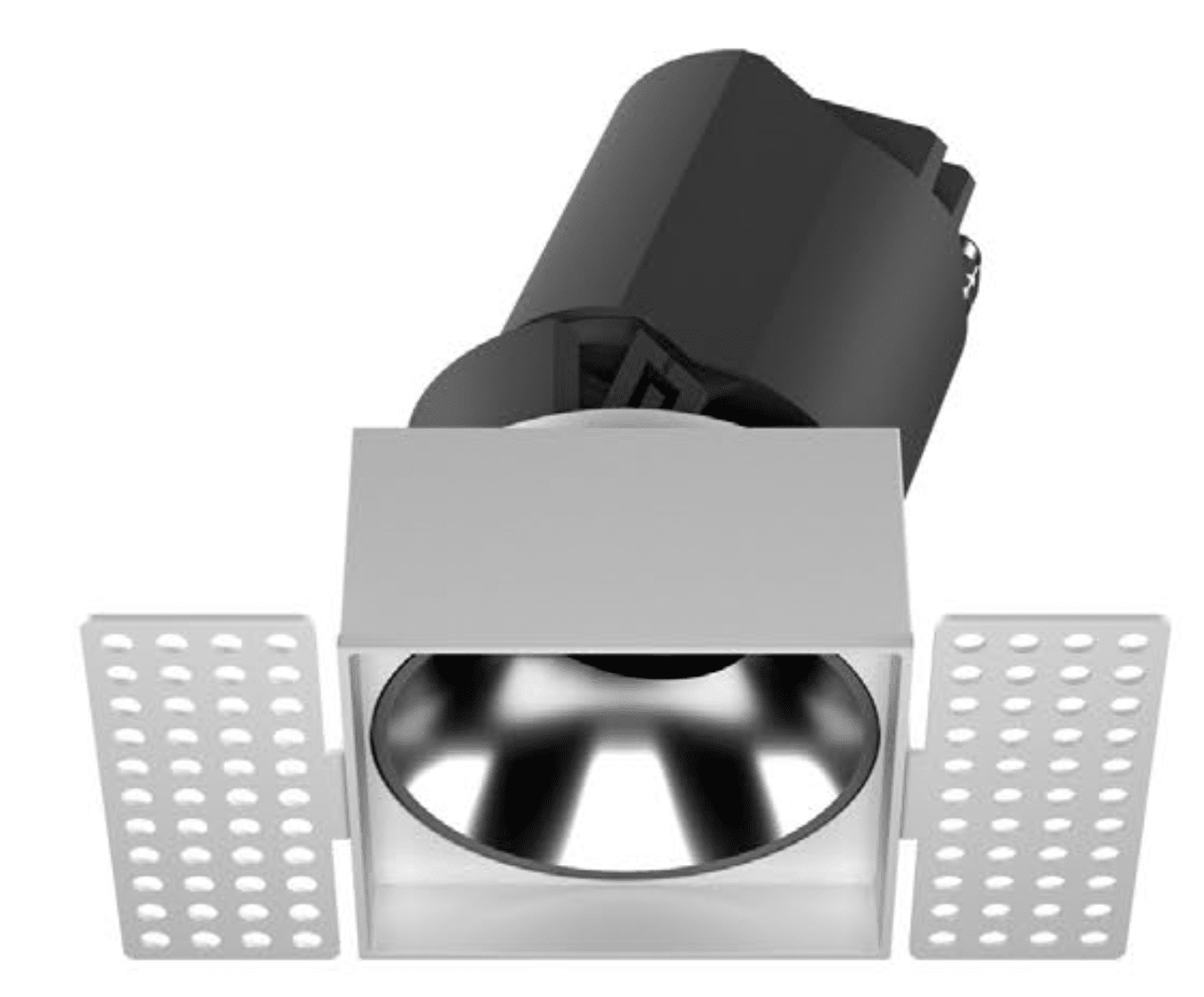 TONE Spotlight